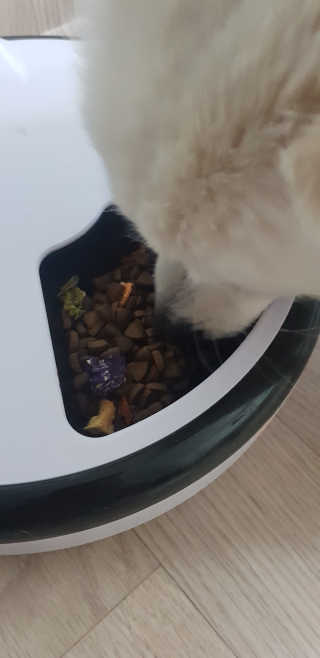 또봉봉님이 올린 리뷰 사진 3