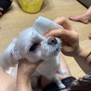 챔미님이 올린 리뷰 사진 4