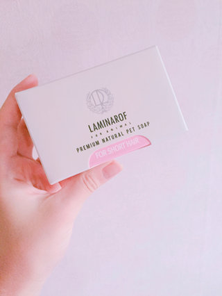 여울패밀리님이 올린 리뷰 사진 1
