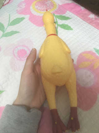 백선영님이 올린 리뷰 사진 2