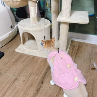 다혜님이 올린 리뷰 사진 2