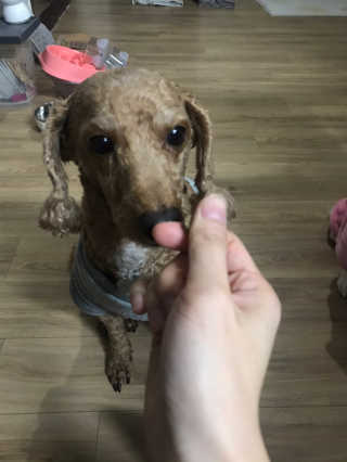 밍크찡님이 올린 리뷰 사진 3