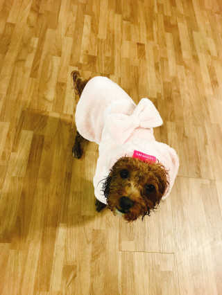 B님이 올린 리뷰 사진 1