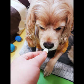콜보리님이 올린 리뷰 사진 2