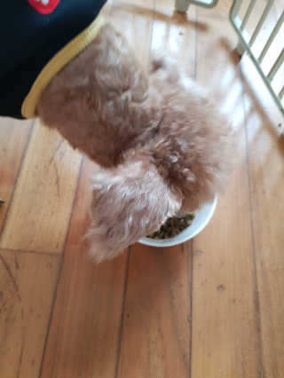 귱귱님이 올린 리뷰 사진 2