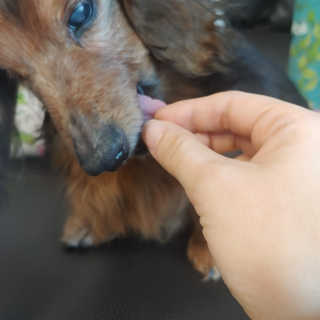 benny님이 올린 리뷰 사진 4
