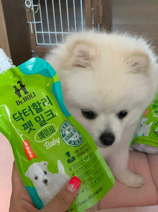 닥터할리펫밀크 8종 — 5점을 준 리뷰어가 2019년 4월 올린 사용 사진