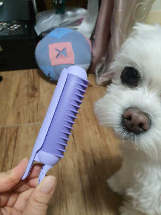 뽀오오옹님이 올린 리뷰 사진 2