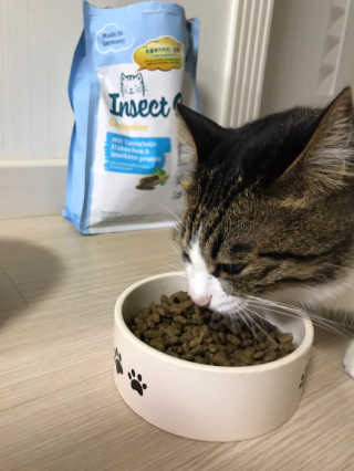 글라라5205님이 올린 리뷰 사진 3