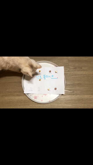 펫츠플레이트 동결건조간식 기호성 테스트 8종 — 4.5점을 준 리뷰어가 2018년 5월 올린 사용 사진