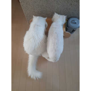 으하하하하님이 올린 리뷰 사진 1