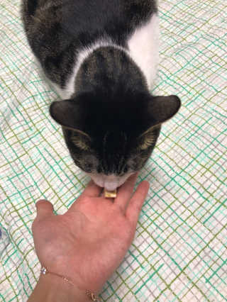 송민지님이 올린 리뷰 사진 1