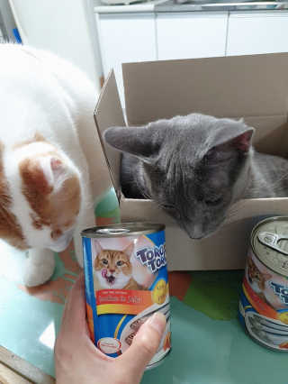 효성님이 올린 리뷰 사진 3