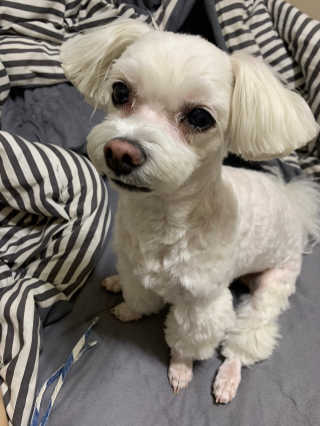 dmsrud님이 올린 리뷰 사진 3
