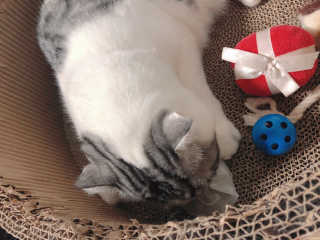 cobemom님이 올린 리뷰 사진 4