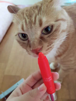 깅지님이 올린 리뷰 사진 3
