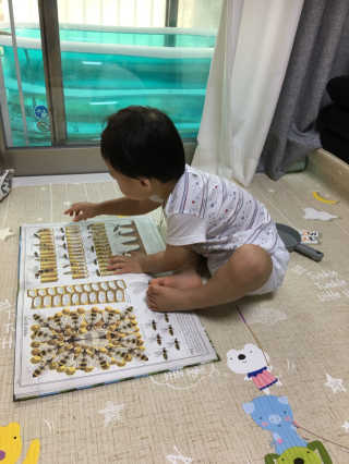 베비몽실님이 올린 리뷰 사진 1