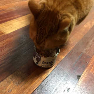 일리애미님이 올린 리뷰 사진 2