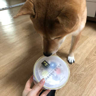 봄봄님이 올린 리뷰 사진 3