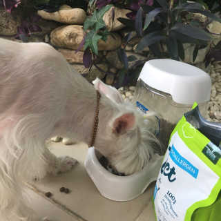 솔이님이 올린 리뷰 사진 1