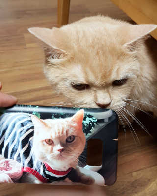 달님님이 올린 리뷰 사진 1