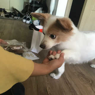 김다움님이 올린 리뷰 사진 2