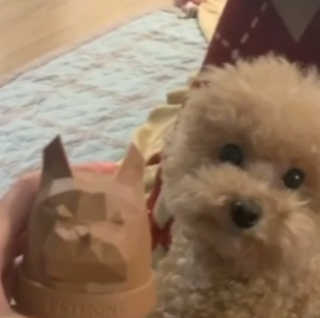 check2님이 올린 리뷰 사진 3