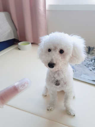 쁘닝공주님이 올린 리뷰 사진 1