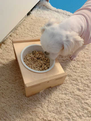 알음님이 올린 리뷰 사진 4
