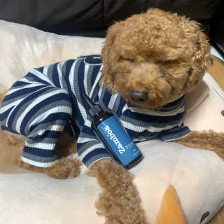 몽글이님이 올린 리뷰 사진 2