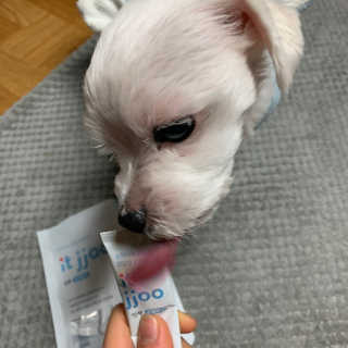 짱아님이 올린 리뷰 사진 4