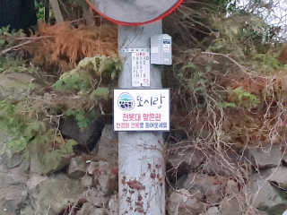 주은이님이 올린 리뷰 사진 1