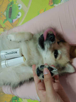HajinLee님이 올린 리뷰 사진 4