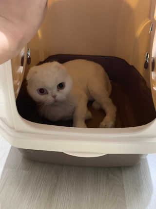 봄솜언니님이 올린 리뷰 사진 2