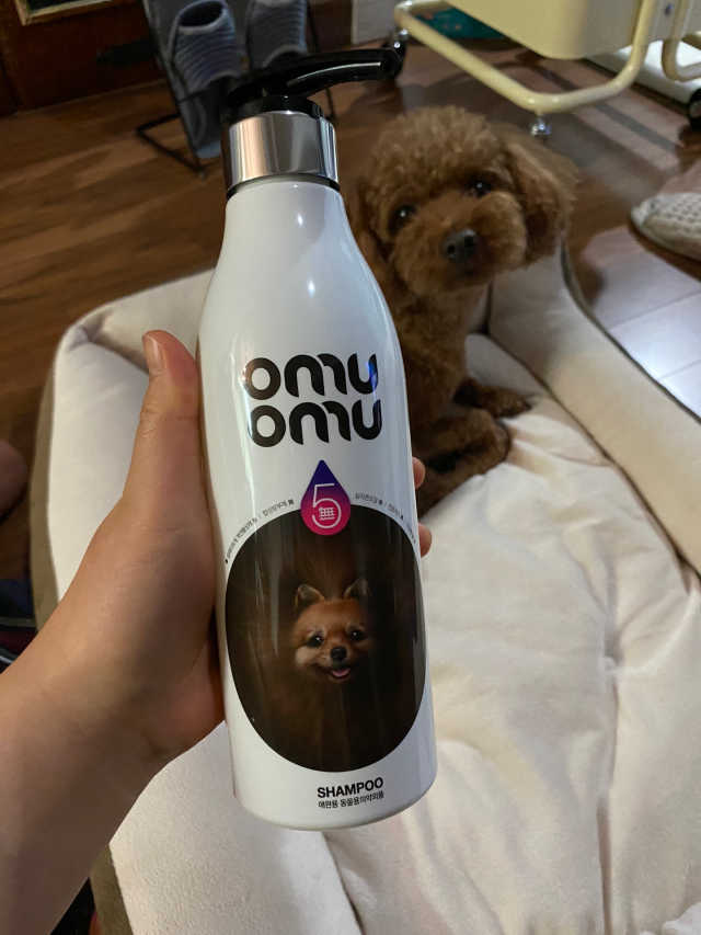 오무오무 화이트 샴푸 리뷰 사진