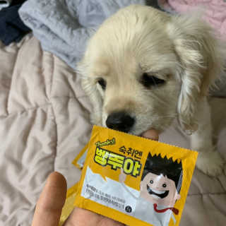 Ghhryh님이 올린 리뷰 사진 3