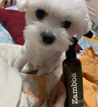 새초미님이 올린 리뷰 사진 2