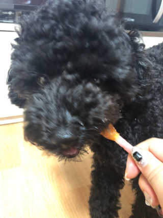 콩자엄마님이 올린 리뷰 사진 2