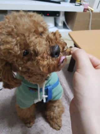 임미경님이 올린 리뷰 사진 3