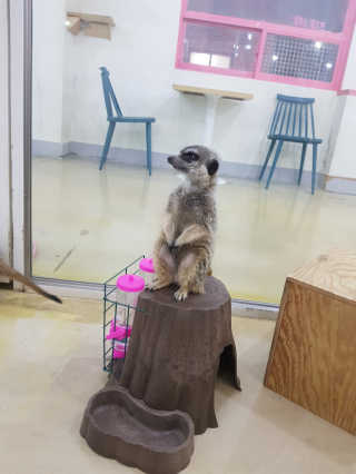 옹알이님이 올린 리뷰 사진 3