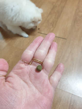 찐이야님이 올린 리뷰 사진 3