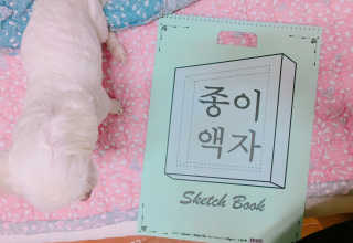 심문경님이 올린 리뷰 사진 2