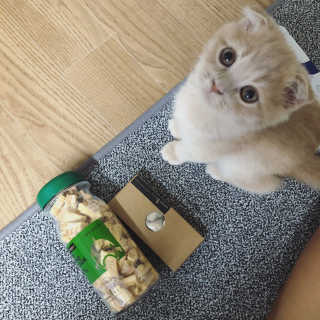 flowerblooming님이 올린 리뷰 사진 3