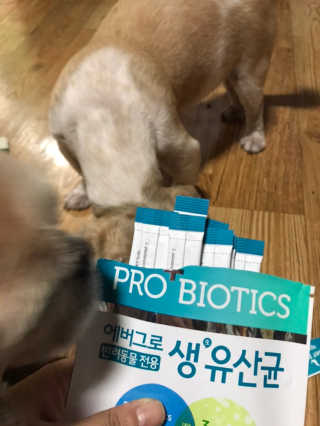 [빙그레] 에버그로 생유산균 1봉（10포입）+펫밀크2팩 — 5점을 준 리뷰어가 2019년 5월 올린 사용 사진