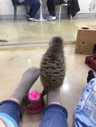 적구님이 올린 리뷰 사진 1