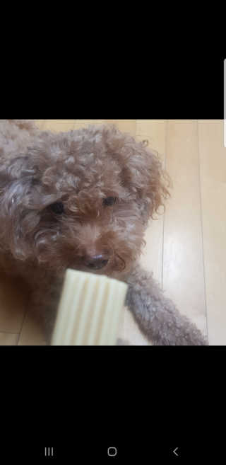 제이드님이 올린 리뷰 사진 3