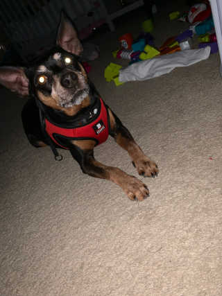 Reiix님이 올린 리뷰 사진 2