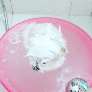공팔순이님이 올린 리뷰 사진 3