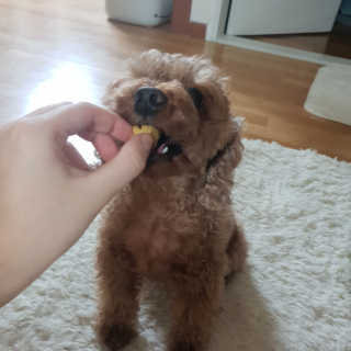 유나님이 올린 리뷰 사진 2