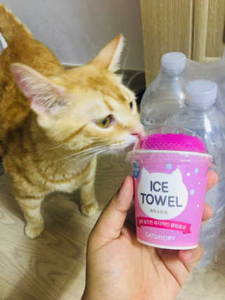 이아님이 올린 리뷰 사진 3
